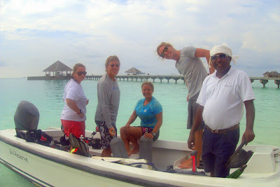 Crown of Thorns Starfish Outbreak