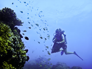 Reef Cleaning Report – another 15kg of rubbish hauled out