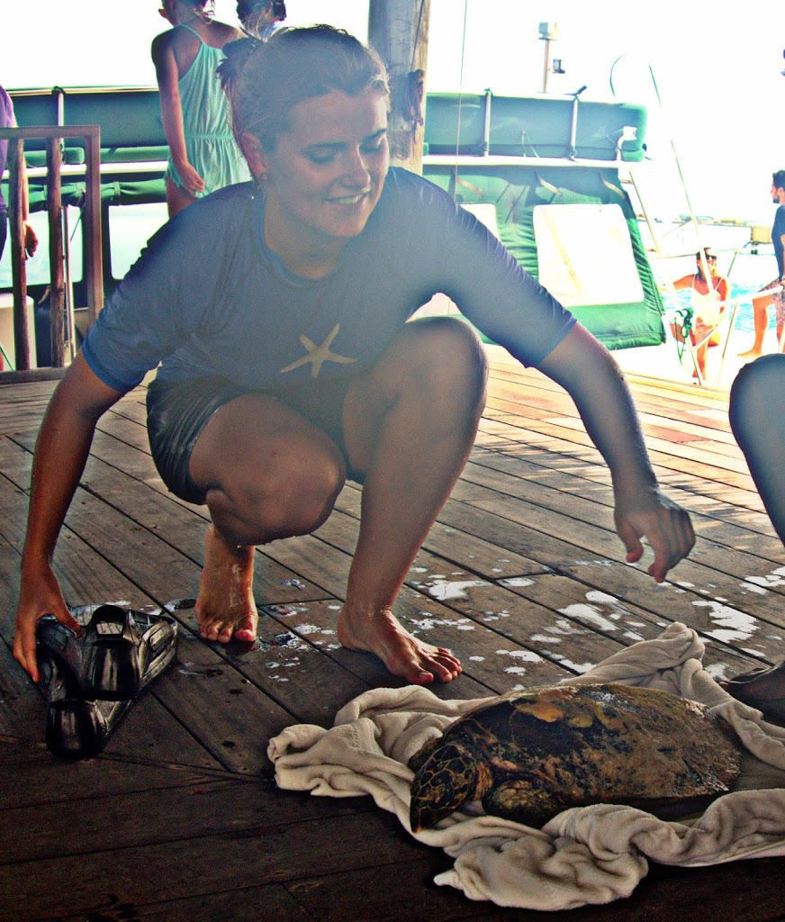 Josie Saves Another Gili Turtle!