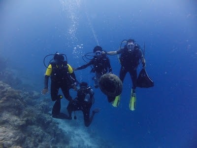 Monthly SCUBA Reef Cleaning starts today