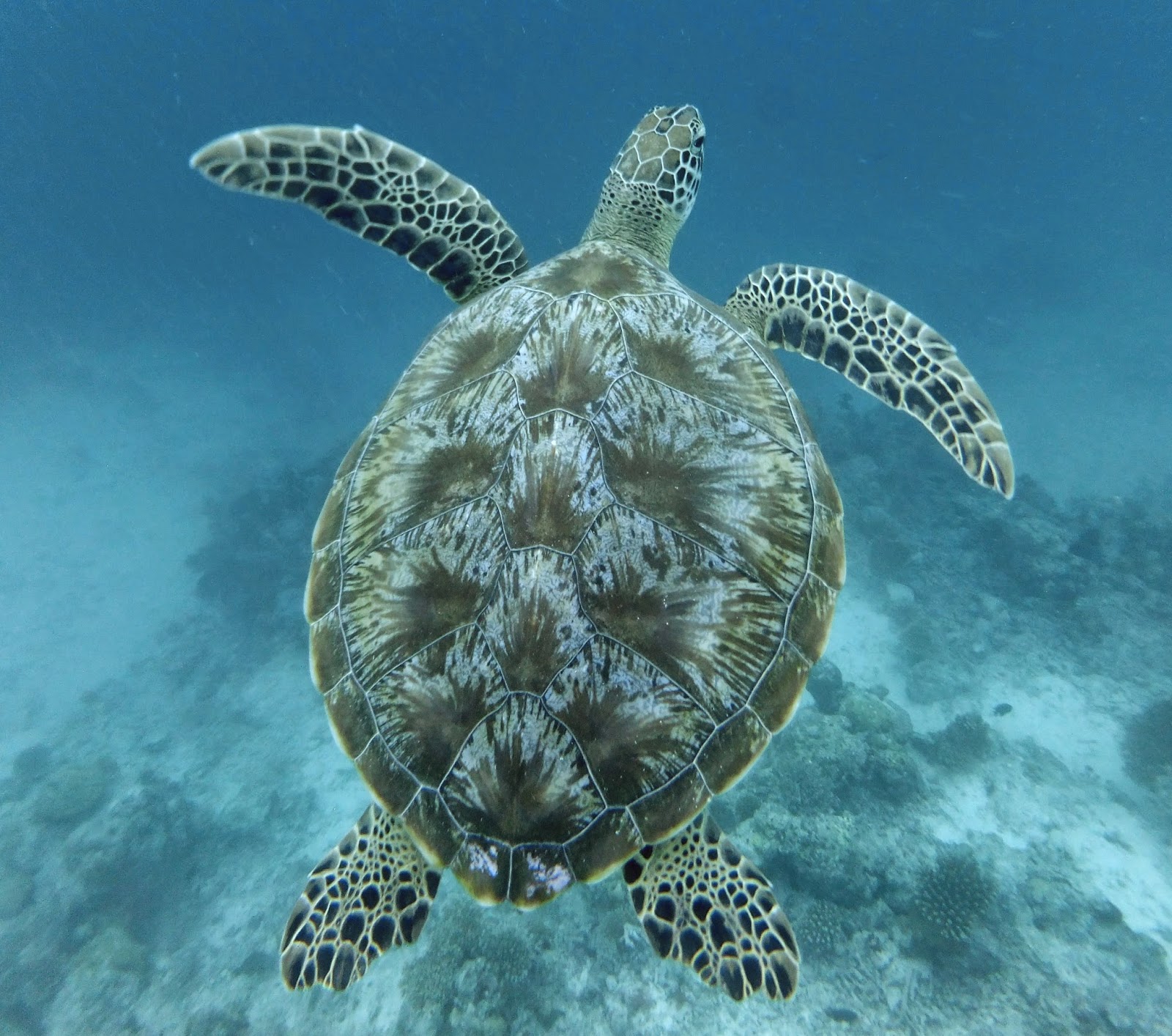 World Oceans Day 2014!