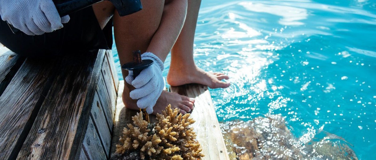 Anti-Plastic Paradise -Gili Lankanfushi Celebrates World Oceans Day With Eco-Friendly Initiatives