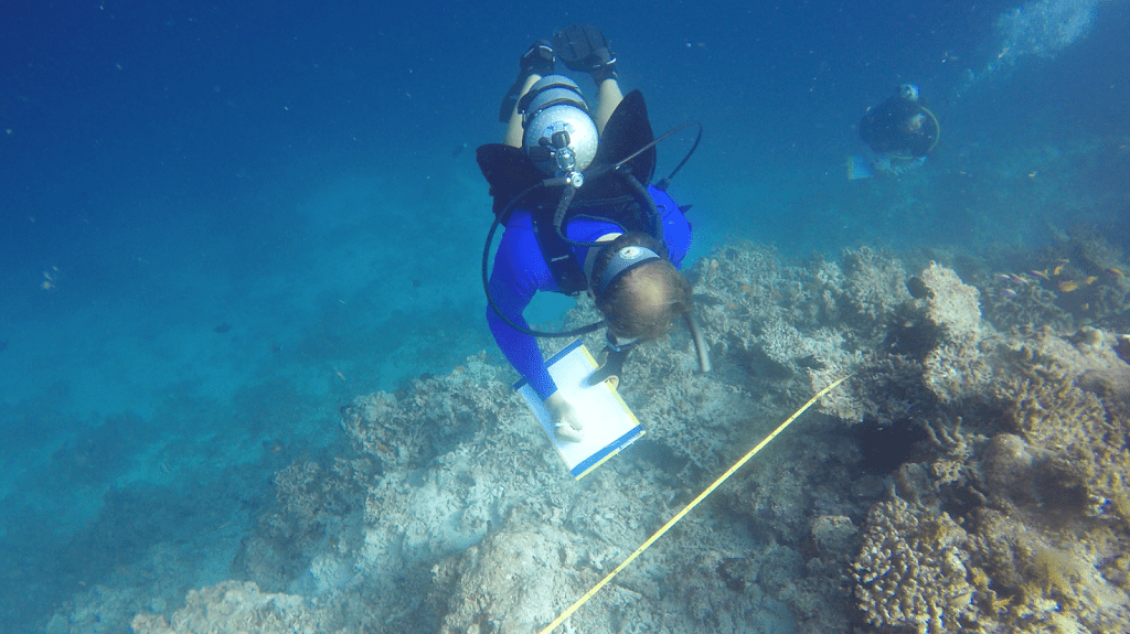 Coral Reef Research at Gili Lankanfushi Maldives