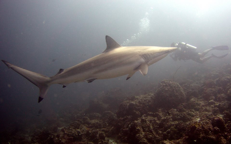 Dry season brings some exciting sightings!