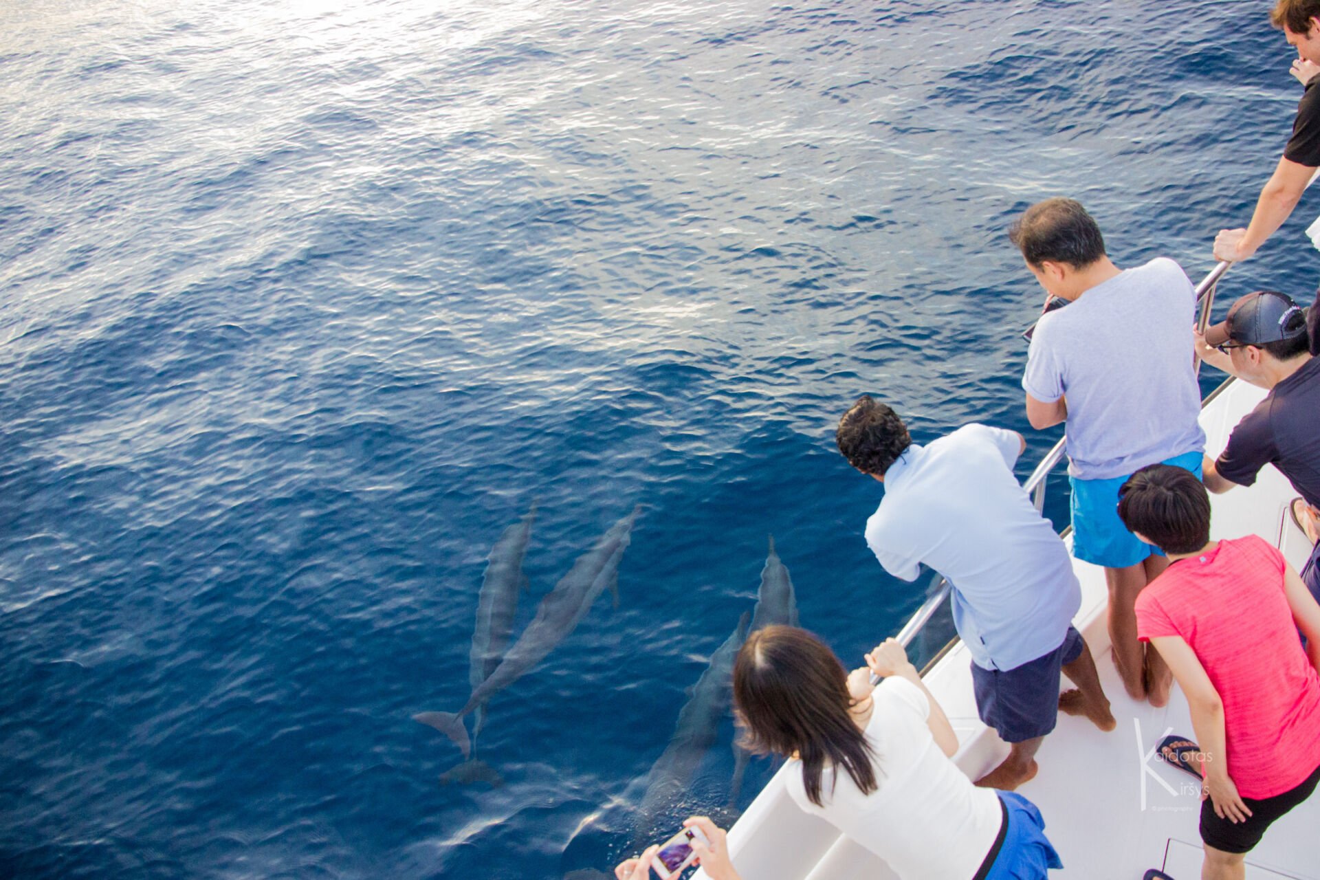 20_GLM_Dolphin-Cruise-Experience-1