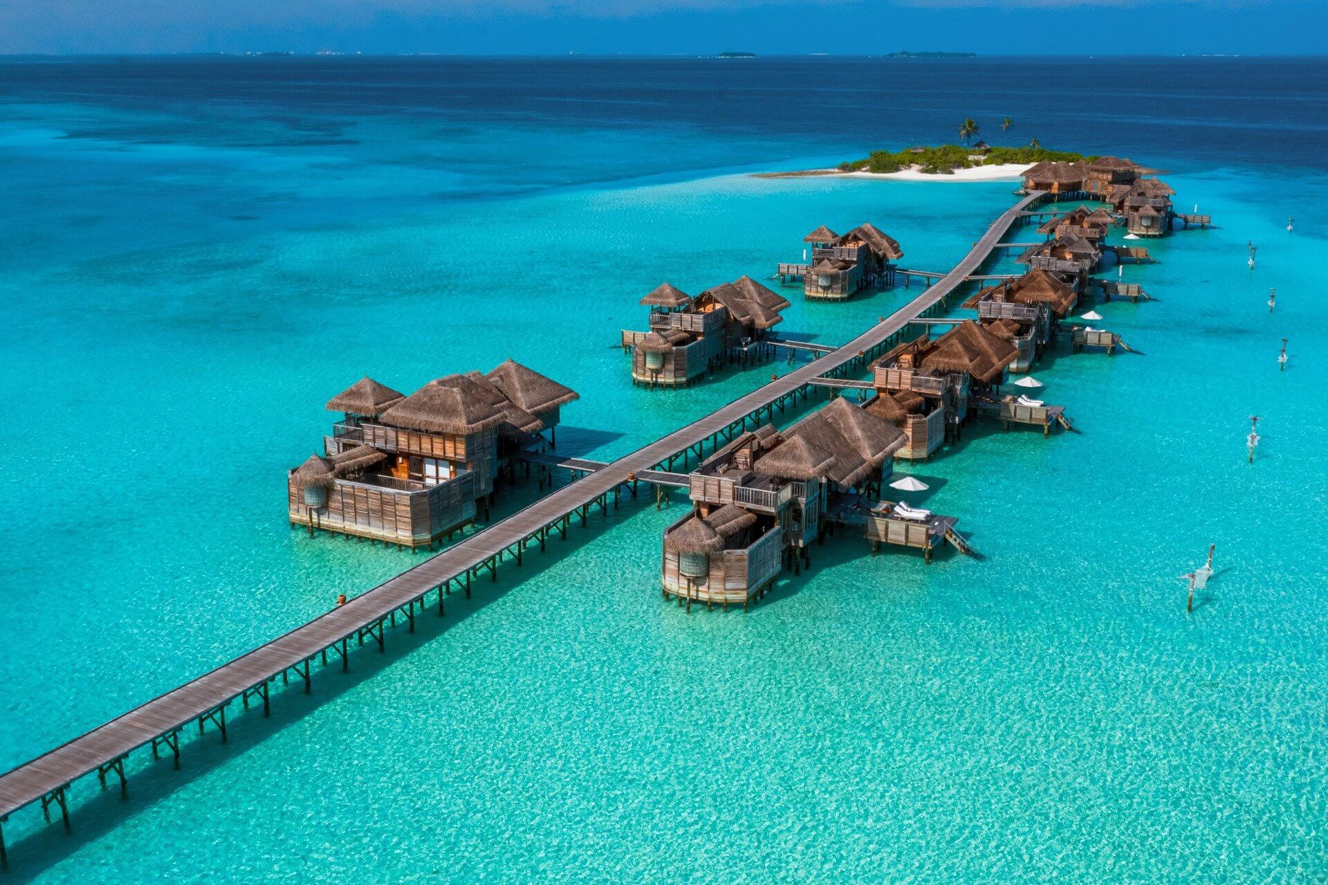 Gili Limited Time Special