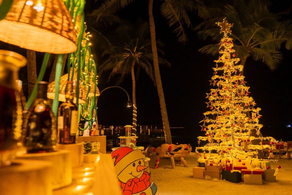 Festive Celebration 2025