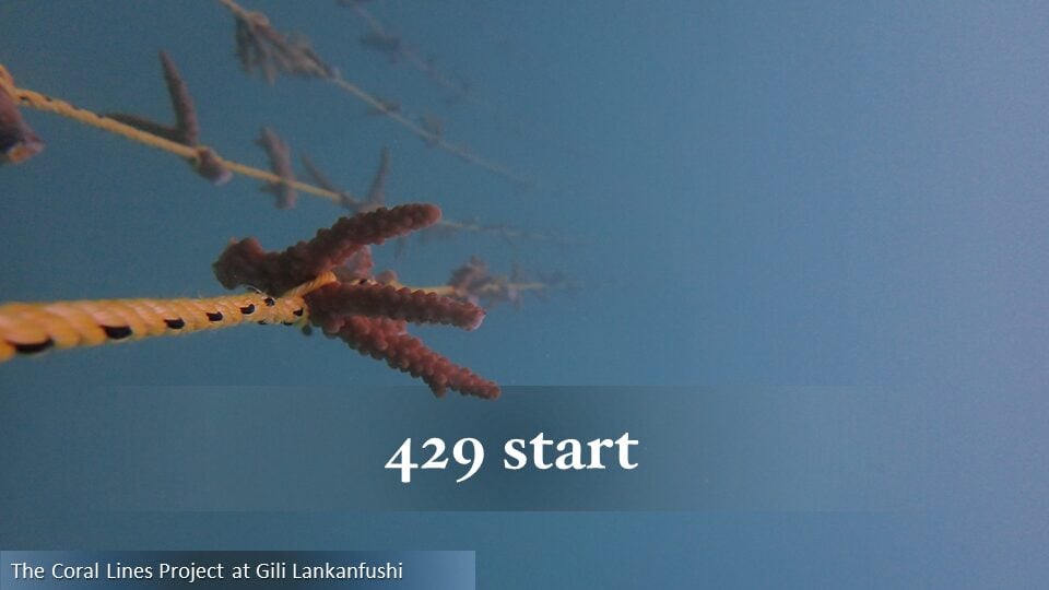 429