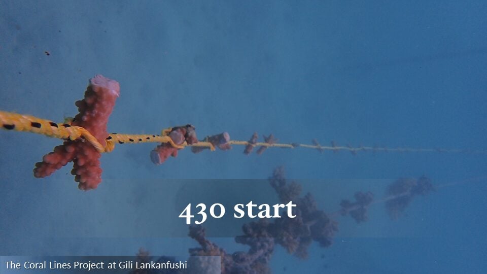 430