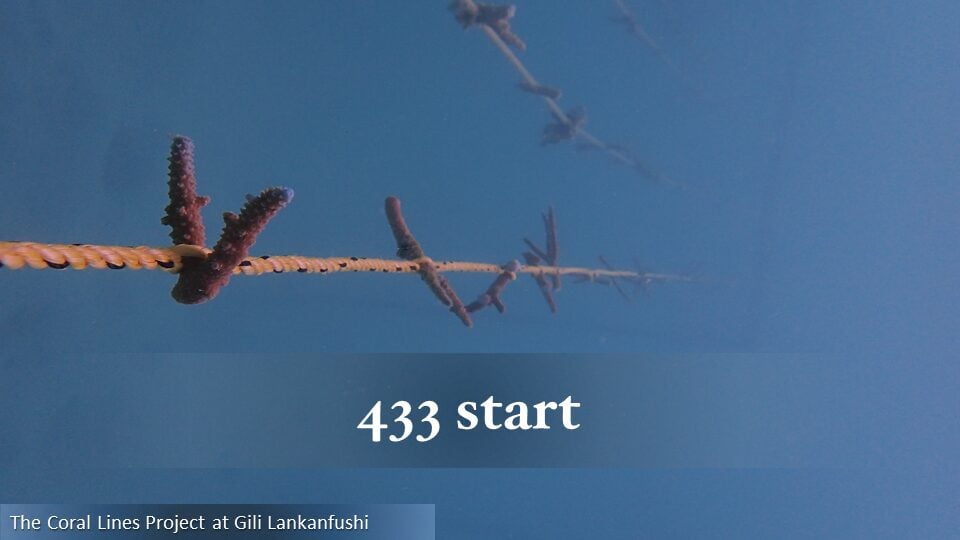 433