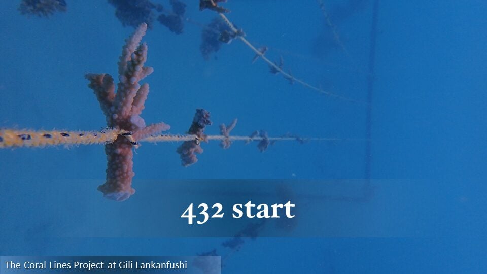 432