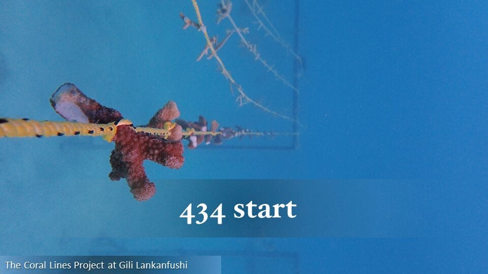 434