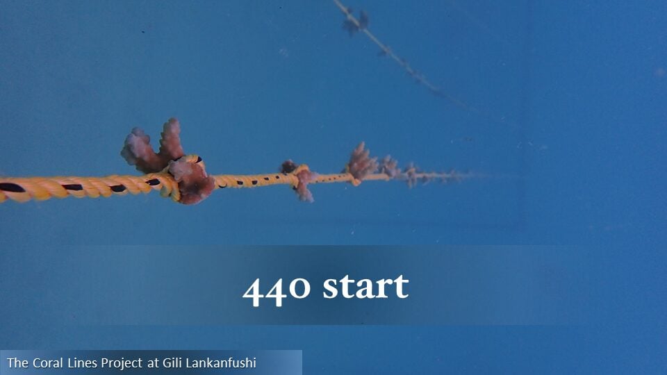440