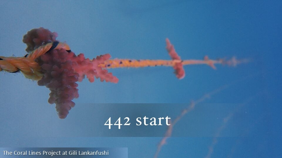442