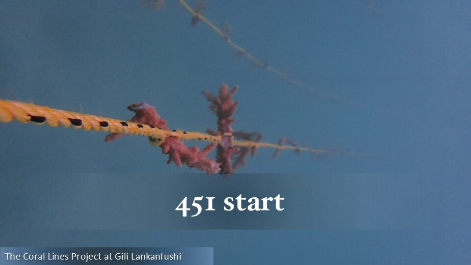 451