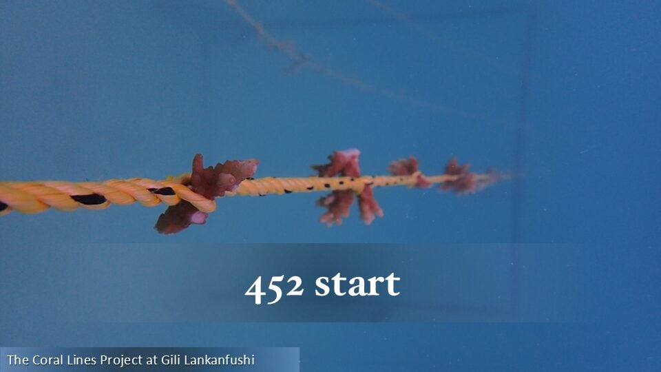 452