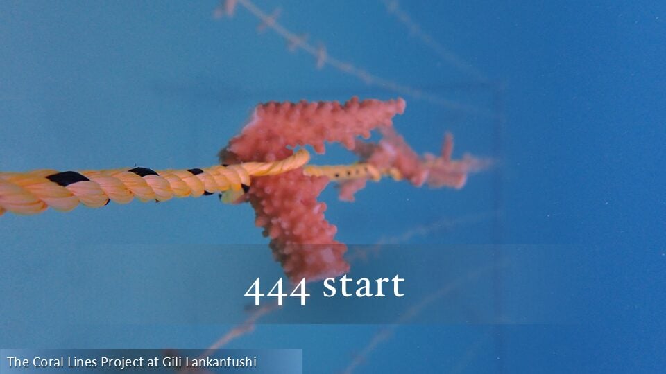 444