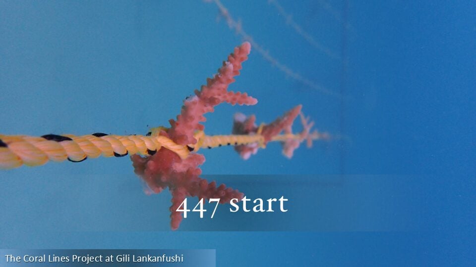448