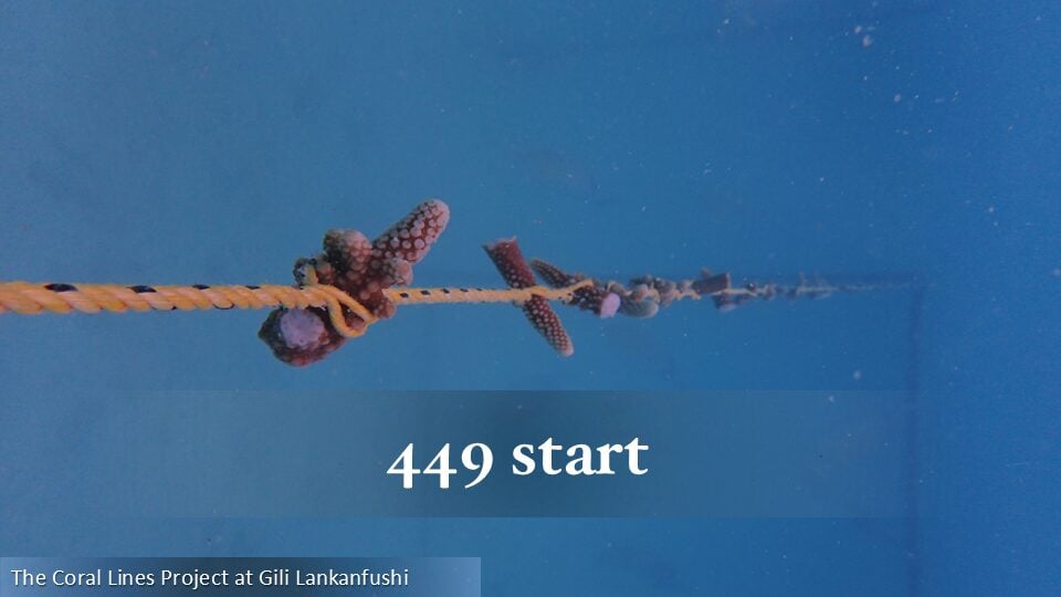 449