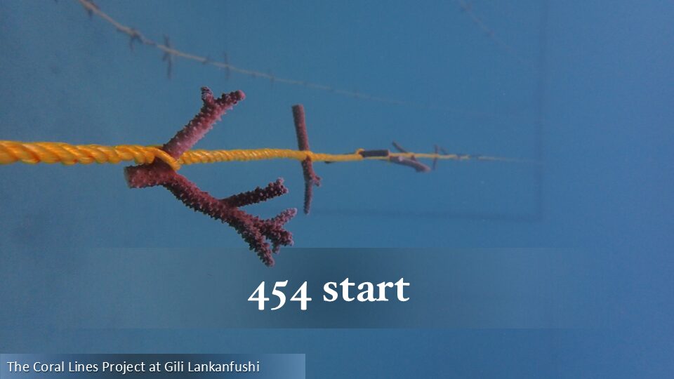454