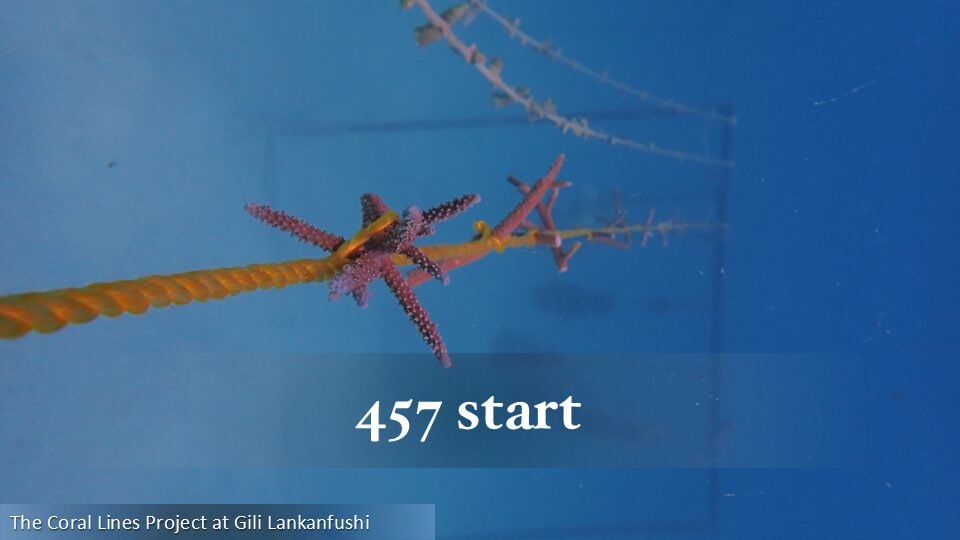 457