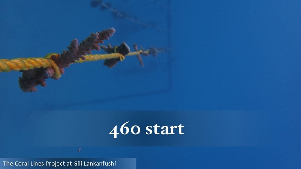 460