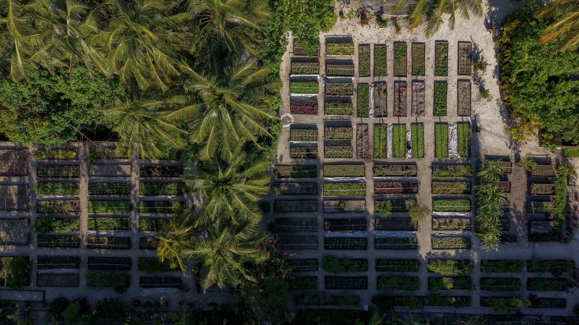 Turning Waste into Wonder: Inside Gili Lankanfushi’s Sewage Treatment Plant