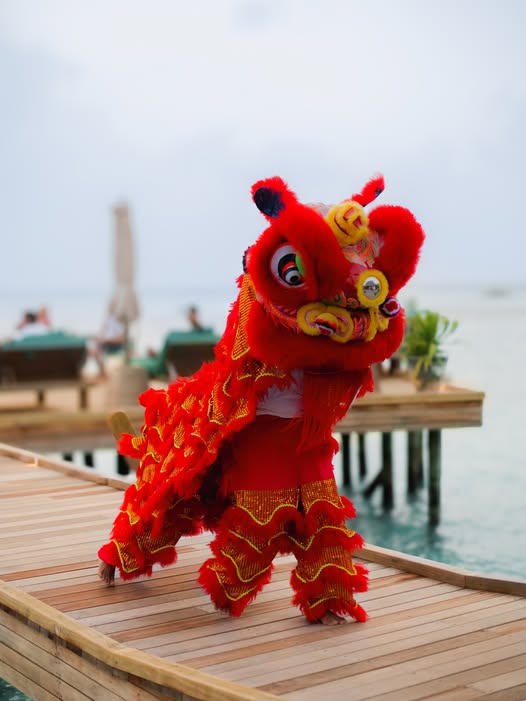 Lunar New Year Experience – A Spirited Island Celebration