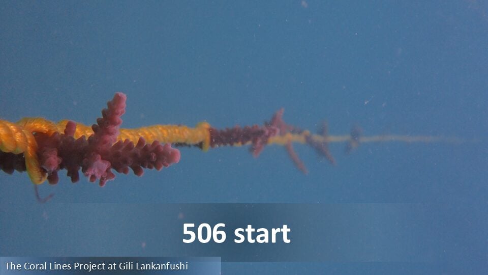 506