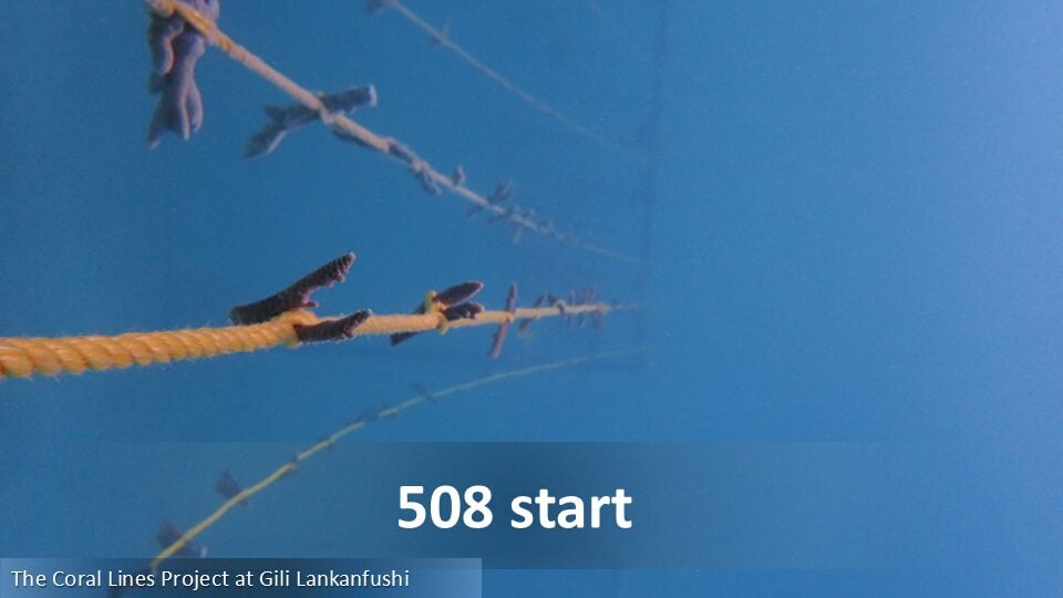 508
