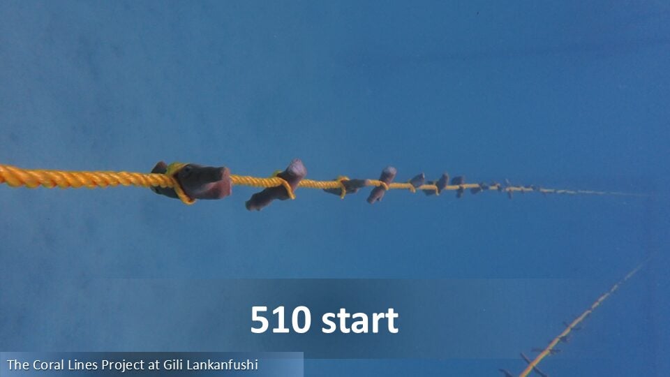 510